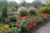 Deutschland-Rosarium-Sangerhausen-2012-120901-DSC_0251.jpg