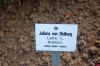 Deutschland-Rosarium-Sangerhausen-2012-120901-DSC_0261.jpg