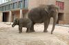 Deutschland-Berliner-Zoo-2013-130506-DSC_0025.jpg