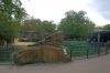 Deutschland-Berliner-Zoo-2013-130506-DSC_0215.jpg