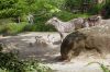 Deutschland-Berliner-Zoo-2013-130506-DSC_0265.jpg