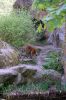 Deutschland-Berliner-Zoo-2013-130506-DSC_0307.jpg