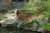 Deutschland-Berliner-Zoo-2013-130506-DSC_0312.jpg