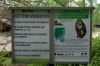 Deutschland-Berliner-Zoo-2013-130506-DSC_0417.jpg
