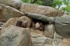 Deutschland-Berliner-Zoo-2013-130506-DSC_0421.jpg