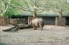 Deutschland-Berliner-Zoo-2013-130506-DSC_0716.jpg