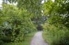 Deutschland-Botanischer-Garten-Dresden-2013-130813-DSC_0299.jpg