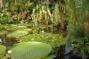 Deutschland-Botanischer-Garten-Dresden-2013-130813-DSC_0606.jpg