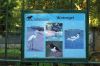 Deutschland-Tierpark-Neumuenster-Schleswig-Holstein-2013-130824-DSC_0621.jpg