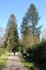 Hamburg-Parkfriedhof-Ohlsdorf-2015-150406-DSC_0026.jpg