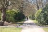 Hamburg-Parkfriedhof-Ohlsdorf-2015-150406-DSC_0067.jpg