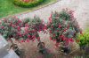 Deutschland-MVP-Schloss-Schwerin-2015-150815-DSC_0631.jpg