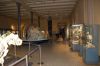 Museum-fuer-Naturkunde-Berlin-Rundgang-2016-160121-DSC_0176_0327.jpg