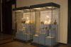Museum-fuer-Naturkunde-Berlin-Rundgang-2016-160121-DSC_0247.jpg