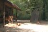 Deutschland-Berliner-Tierpark-2013-130810-DSC_0033.jpg