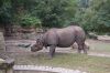 Deutschland-Berliner-Tierpark-2013-130810-DSC_0638.jpg