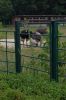 Deutschland-Berliner-Tierpark-2013-130810-DSC_0670.jpg