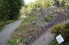 Deutschland-Botanischer-Garten-Dresden-2013-130813-DSC_0450.jpg