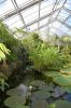 Deutschland-Botanischer-Garten-Dresden-2013-130813-DSC_0683.jpg