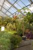 Deutschland-Botanischer-Garten-Dresden-2013-130813-DSC_0686.jpg