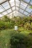 Deutschland-Botanischer-Garten-Dresden-2013-130813-DSC_0688.jpg