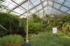 Deutschland-Botanischer-Garten-Dresden-2013-130813-DSC_0691.jpg
