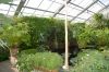 Deutschland-Botanischer-Garten-Dresden-2013-130813-DSC_0692.jpg