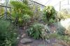 Deutschland-Botanischer-Garten-Dresden-2013-130813-DSC_0713.jpg