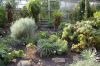 Deutschland-Botanischer-Garten-Dresden-2013-130813-DSC_0717.jpg
