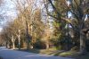 Hamburg-Parkfriedhof-Ohlsdorf-2015-150406-DSC_0504.jpg