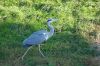 Deutschland-Berliner-Tierpark-2015-151010-DSC_0062.jpg