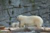 Deutschland-Berliner-Tierpark-2015-151010-DSC_0077.jpg