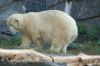 Deutschland-Berliner-Tierpark-2015-151010-DSC_0084.jpg