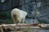 Deutschland-Berliner-Tierpark-2015-151010-DSC_0087.jpg