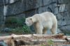 Deutschland-Berliner-Tierpark-2015-151010-DSC_0094.jpg