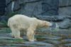 Deutschland-Berliner-Tierpark-2015-151010-DSC_0100.jpg